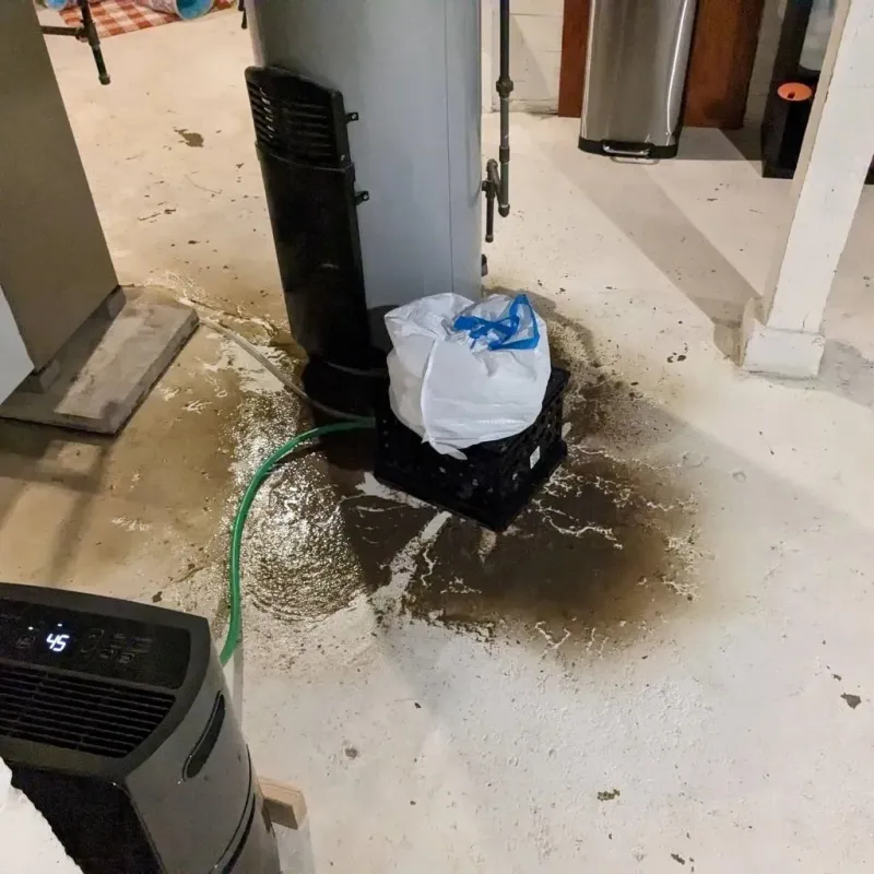 Sewage Backup Cleanup Service in Butler, GA